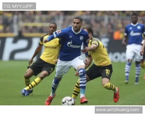 拜仁中场巴乔受伤将缺阵德甲比赛前景堪忧